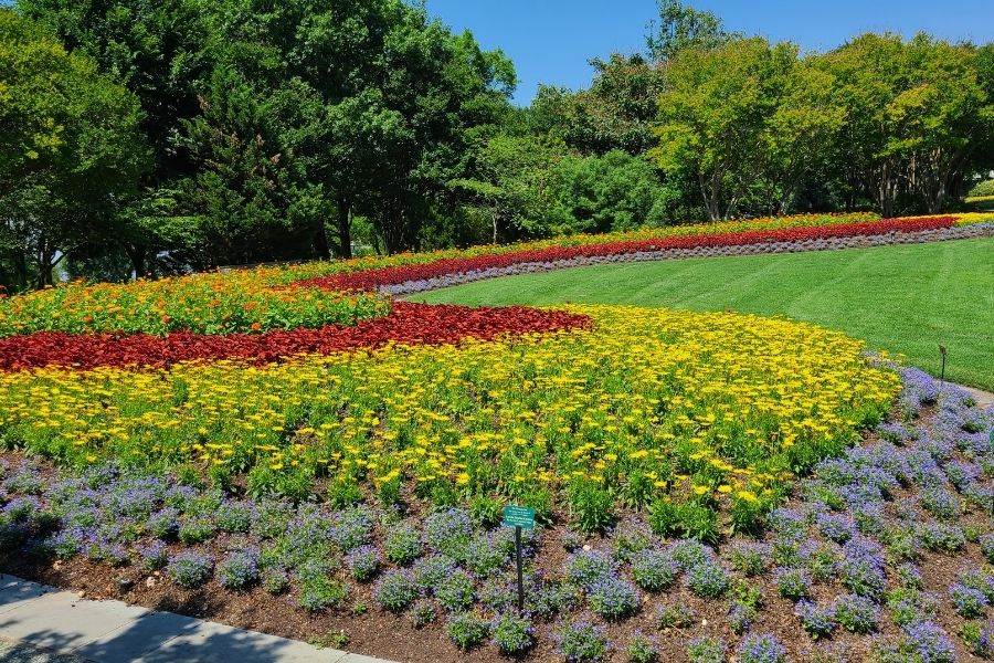 Dallas area (3)